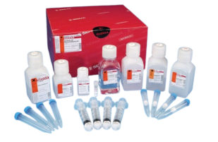 2_-_KITS_BIOLOGIA_MOLECULAR_1-removebg-preview.png