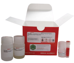 biologia molecular 2