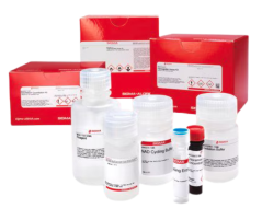 biologia molecular 3